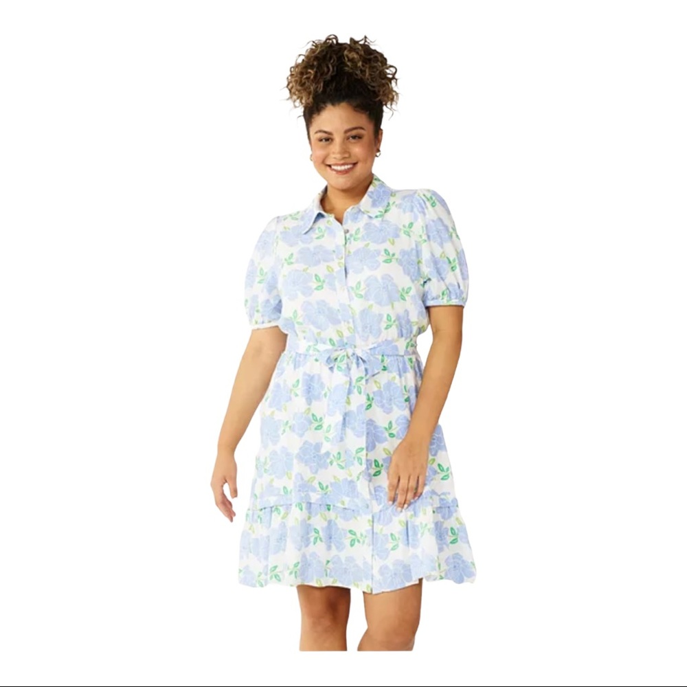 Draper James RSVP Floral PUFF Sleeve SHIRT DRESS Blue Ivory XL Linen Lined
